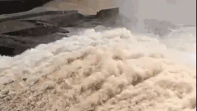 Screenshot 20250714 121302.Chrome28129