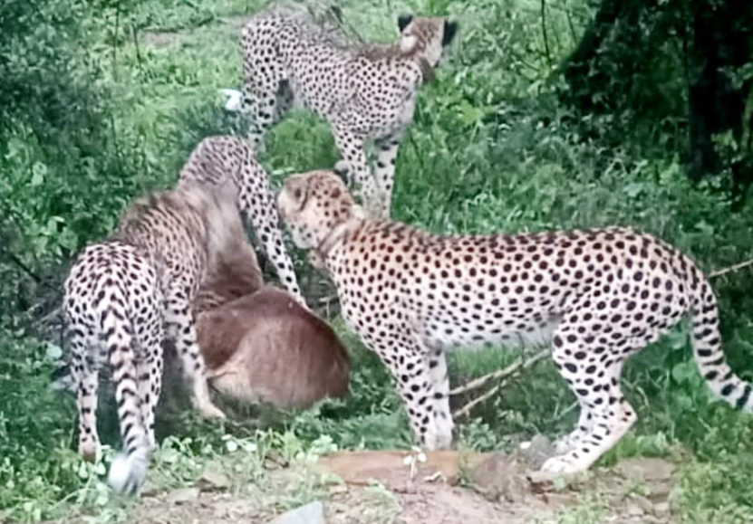 Screenshot 20250714 170300.Chrome28129