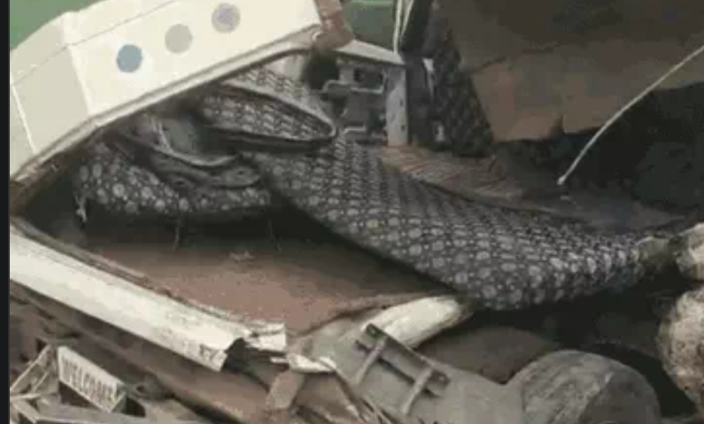 Screenshot 20250718 222920.Chrome28129