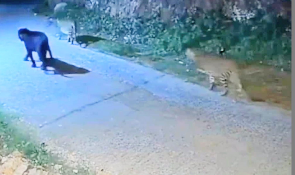 Screenshot 20250723 150929.Chrome28129