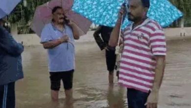 Screenshot 20250729 195030.Chrome28329