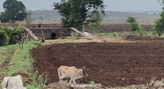 img 20250701 wa003328129968402135691824068