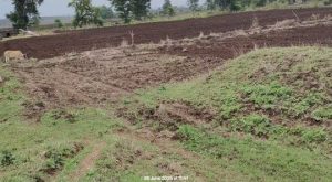 img 20250701 wa003728129664995450148223405