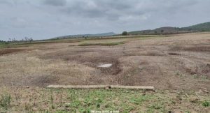 img 20250701 wa0039282294605224468623100029