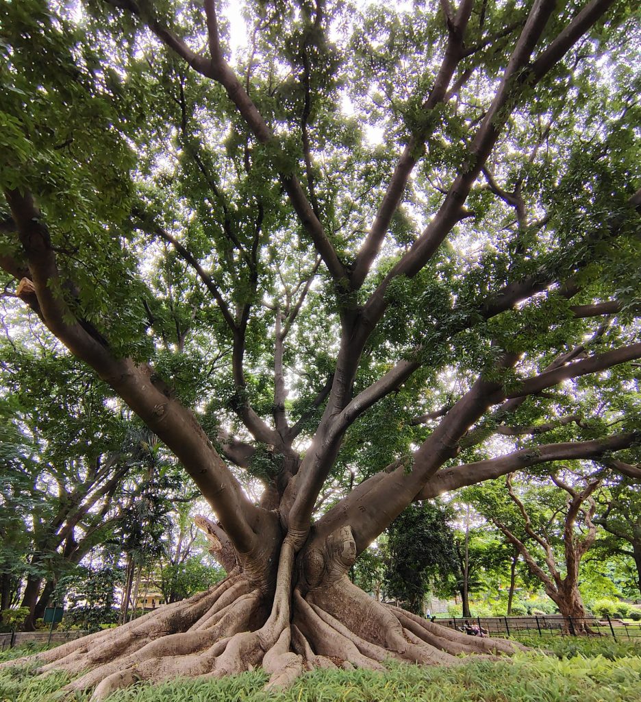 img 20250628 162703716 hdr281294492883206741896969