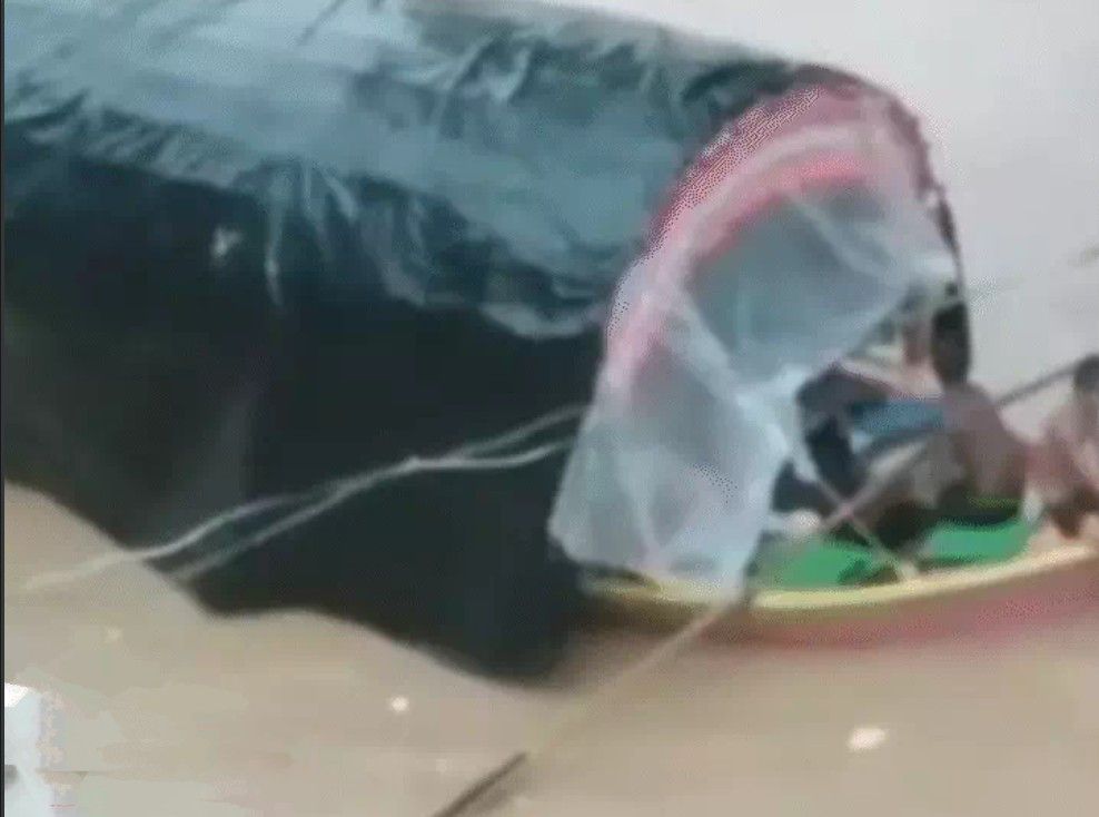 Monsoon MP : भारी बारिश, छतरपुर में रनगुवां डैम के 15 गेट खोले, नदी में पिकअप बही, एक की मौत, चित्रकूट में चली नाव 3 screenshot 20250713 1448433432333739386389001