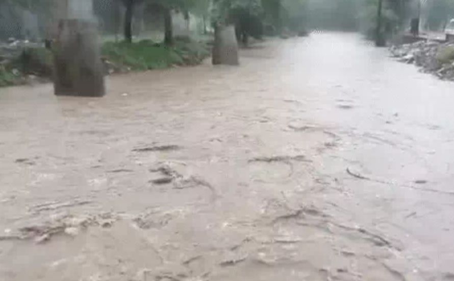 Monsoon MP : भारी बारिश, छतरपुर में रनगुवां डैम के 15 गेट खोले, नदी में पिकअप बही, एक की मौत, चित्रकूट में चली नाव 2 screenshot 20250713 1448468336026252507568524