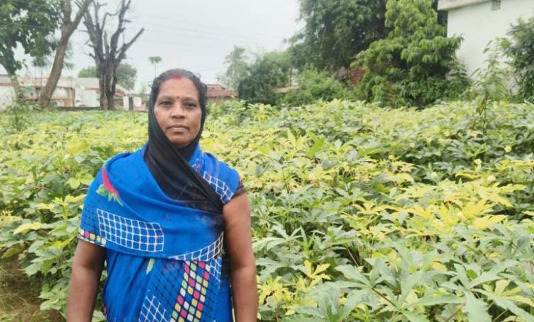 आधुनिक खेती व मेहनत में केतकी बाई को बनाया लखपति दीदी 1 आधुनिक खेती व मेहनत में केतकी बाई को बनाया लखपति
