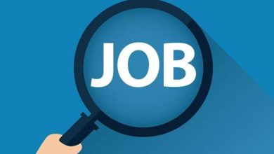 एआई सेक्टर में बंपर भर्ती फ्रेशर हायरिंग में भी 11