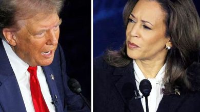 कमला हैरिस ने 2024 के चुनाव अभियान में पैसे लिए