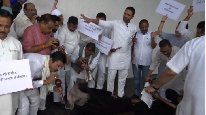 कांग्रेस ने विधानसभा में भैंस के सामने बीन बजाकर किया
