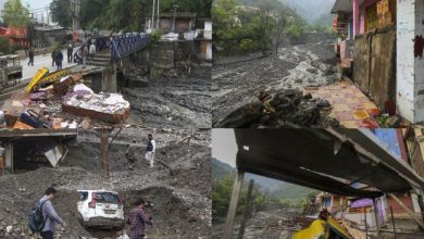 क्या टेक्टोनिक मूवमेंट और मानवीय हस्तक्षेप बना असली खतरा