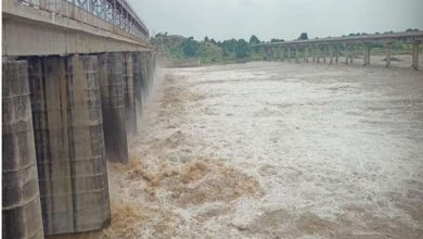 धसान नदी का रौद्र रूप गांवों में बाढ़ का खतरा