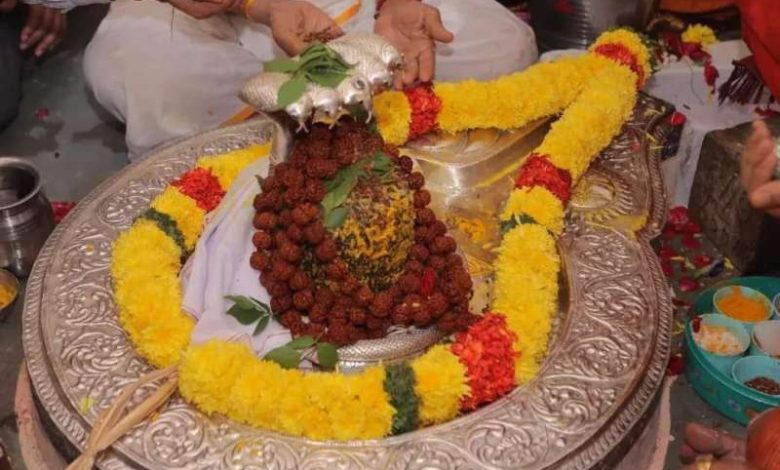 नागचंद्रेश्वर के दुर्लभ दर्शन, साल में एक बार मिलता है पुण्य अवसर 1 नागचंद्रेश्वर के दुर्लभ दर्शन साल में एक बार मिलता है