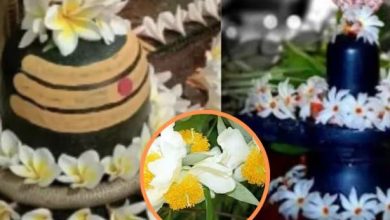 पूजा की थाली में छुपा सेहत का खजानामहादेव को चढाएं