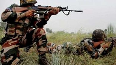 भारतीय सेना का करारा जवाब ऑपरेशन महादेव में दो पाकिस्तानी