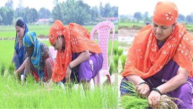 मंत्री लक्ष्मी राजवाड़े ने कुर्सी पर बैठकर की धान की