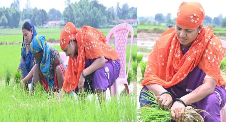 मंत्री लक्ष्मी राजवाड़े ने कुर्सी पर बैठकर की धान की