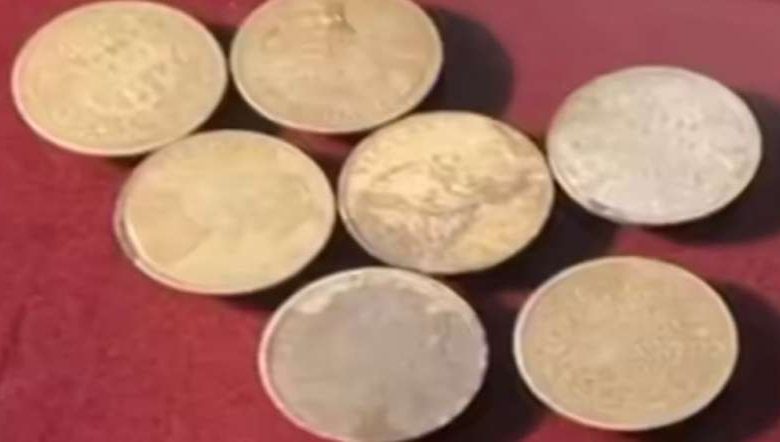 मजदूरों को खुदाई में मिला खजाना इलाके में मची सनसनी