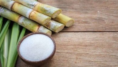 मौसम प्रभाव और गन्ने की कमी से उत्पादन घटी 18 NFCSFL