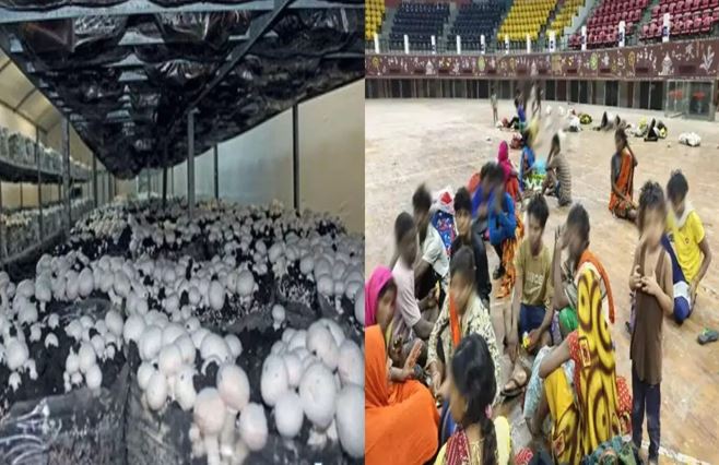 रायपुर में मशरूम कंपनी से 97 मजदूर रेस्क्यू 47 नाबालिग