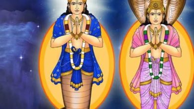 राहु केतु से बचने के लिए नक्षत्र के आधार पर करें
