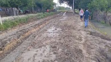 रीवा की महना नदी ने डुबाया पुल ऑटो से अस्पताल