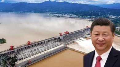 विशाल डैम का निर्माण शुरू भारत ने दी तीखी प्रतिक्रिया