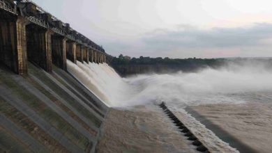 सतपुड़ा के 7 बान सुजारा डैम के 12 गेट खोले