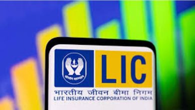 सरकार योजना बनाए 2–3 LIC हिस्सेदारी का चरणबद्ध divestment सार्वजनिक