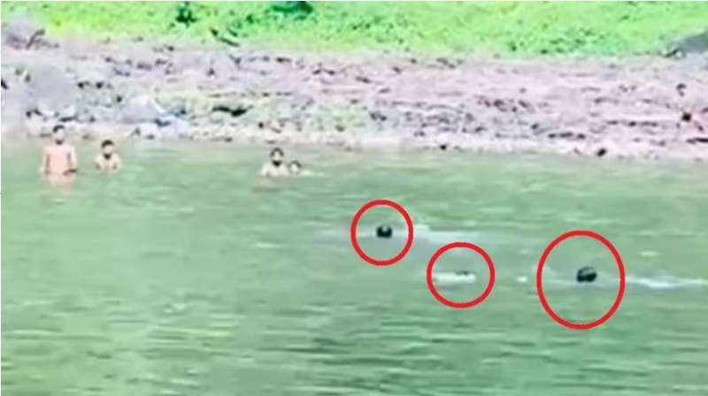 इंदौर का दिल दहला देने वाला वीडियो भीड़ तमाशबीन बनी