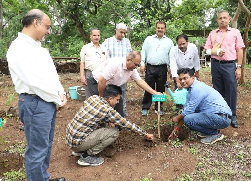 औषधि वाटिका विकास के लिए एमपी ट्रांसको में पौधारोपण