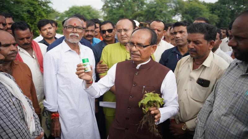 नेता से किसान बने शिवराज सिंह खेतों में उगा रहे