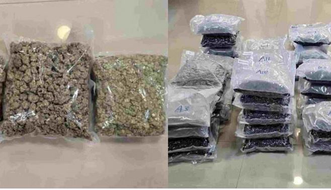 पानी में उगने वाली ड्रग्स को लेकर डीआरआई टीम ने