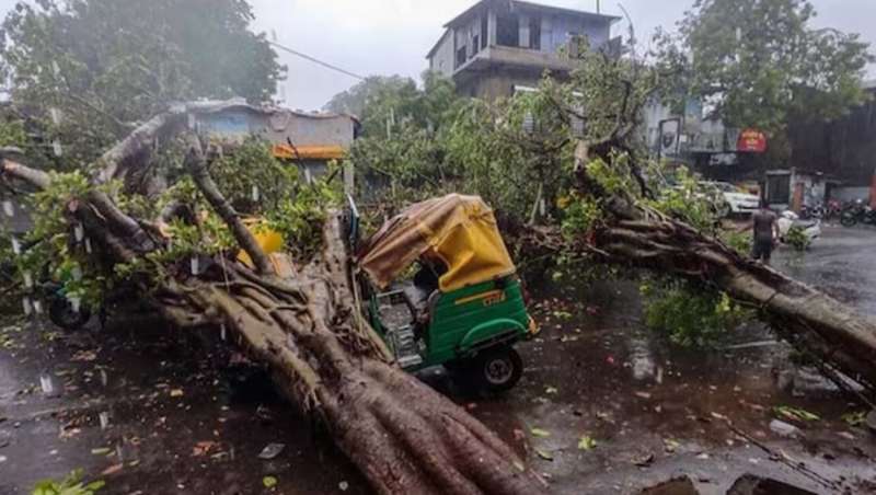 बाराबंकी हादसा — बस पर गिरा पेड़ सरकार ने दिए