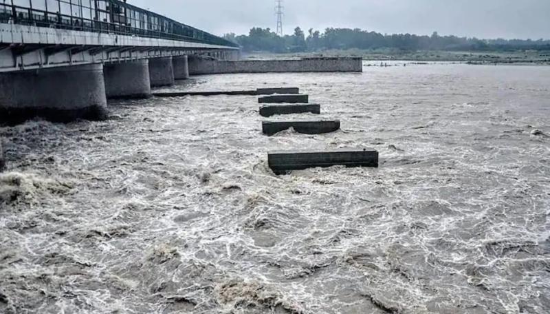 लगातार बारिश से यमुना उफान पर गांवों में जलभराव से
