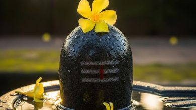 शिवलिंग के पास रखा दिखे पीला फूल तो भूलकर भी