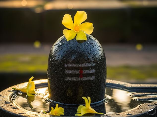 शिवलिंग के पास रखा दिखे पीला फूल तो भूलकर भी