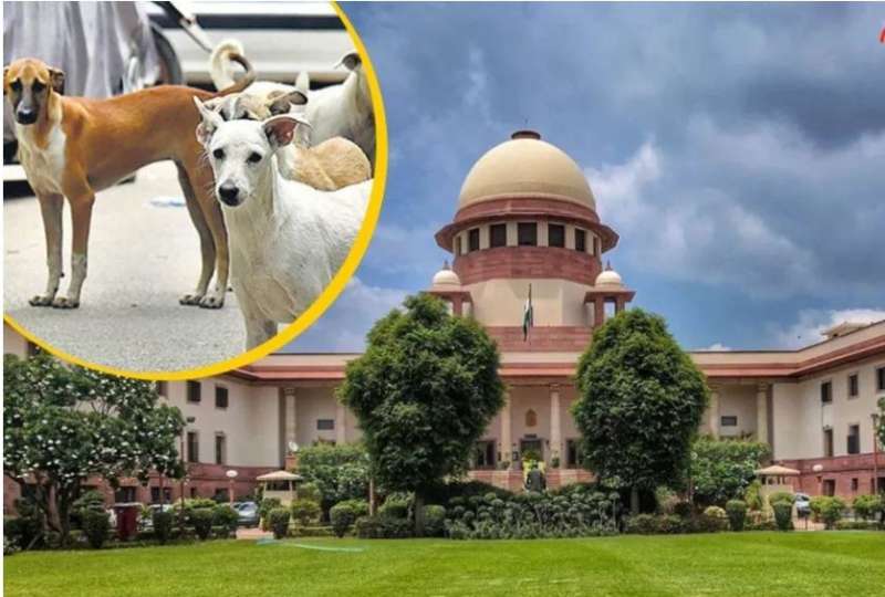 सुप्रीम कोर्ट आदेश के खिलाफ इंदौर में पालतू प्रेमियों का