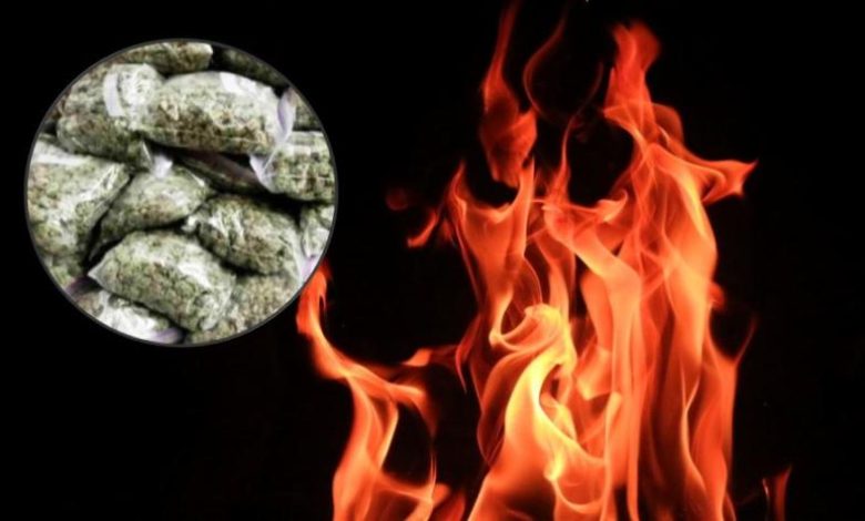 3 करोड़ का गांजा होगा खाक BSP ब्लास्ट फर्नेस में