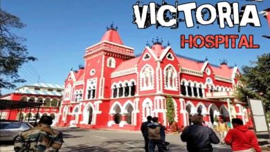 MP विधानसभा में जबलपुर की गूंज फर्जी नियुक्ति पर विपक्ष