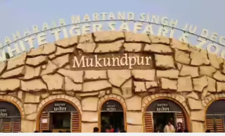 Screenshot 20250810 184945.Chrome28129