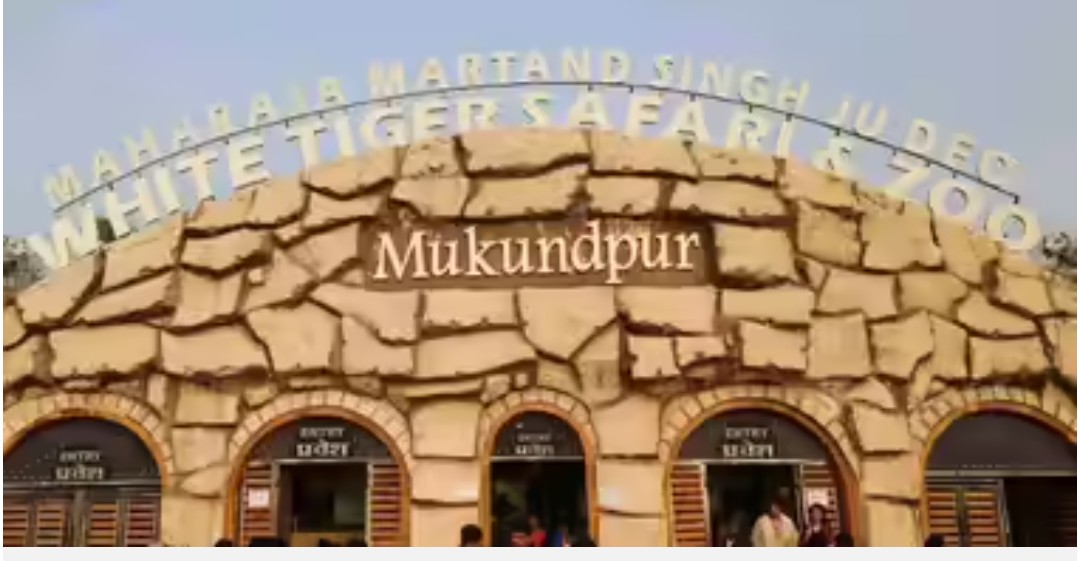 Screenshot 20250810 184945.Chrome28129