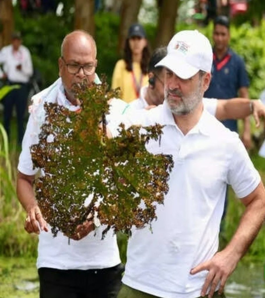 screenshot 20250824 1712216410741160801682330