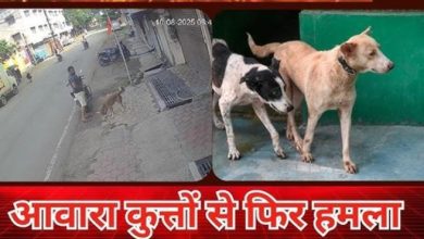 आवारा कुत्तों की रोकथाम के लिए प्रशासन को चुनौती