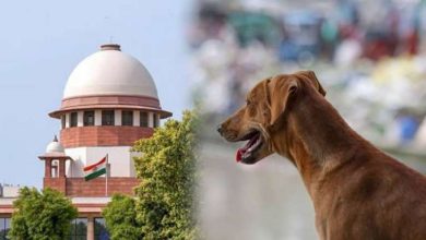 आवारा कुत्तों को लेकर सुप्रीम कोर्ट में तीखी बहस फैसला