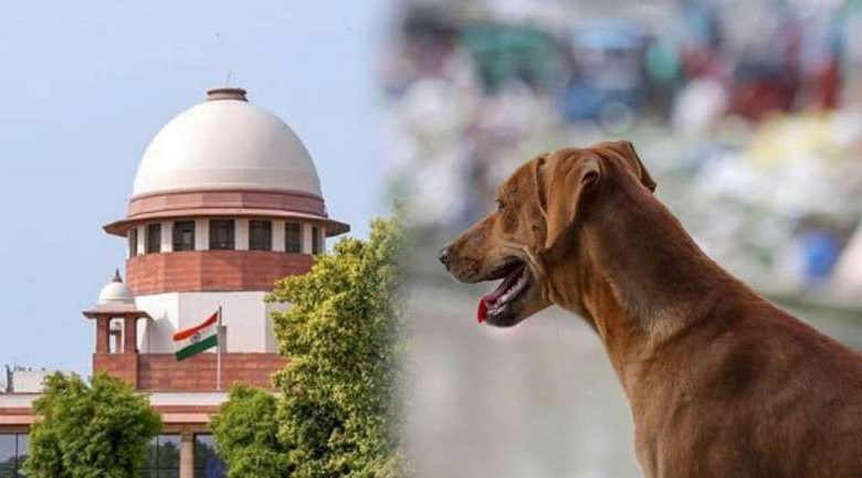 आवारा कुत्तों को लेकर सुप्रीम कोर्ट में तीखी बहस फैसला