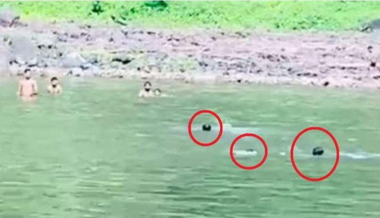 इंदौर का दिल दहला देने वाला वीडियो भीड़ तमाशबीन बनी
