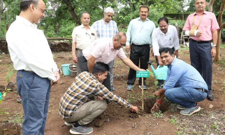 औषधि वाटिका विकास के लिए एमपी ट्रांसको में पौधारोपण