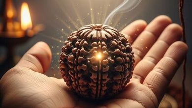 क्या है 13 मुखी रुद्राक्ष की असली ताकत जानें लाभ